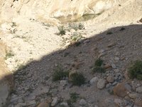 IMG_20260409_093242.jpg