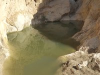 IMG_20260409_093302.jpg
