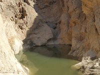 IMG_20260409_093358.jpg