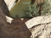 IMG_20260409_103931.jpg