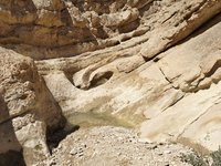 IMG_20260409_105632.jpg