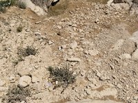 IMG_20260409_113022.jpg