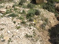 IMG_20260409_113151.jpg