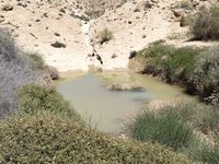 IMG_20260409_122303.jpg