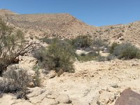 IMG_20260409_123506.jpg