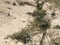 IMG_20260409_123917.jpg