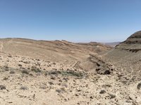 IMG_20260409_132244.jpg