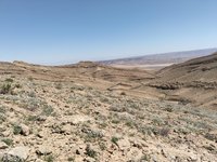 IMG_20260409_135807.jpg