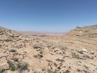 IMG_20260409_141053.jpg