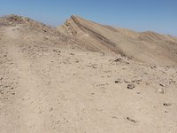 IMG_20260409_151043.jpg