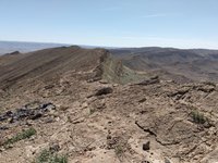 IMG_20260409_152819.jpg