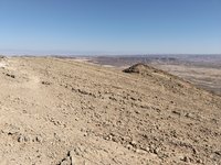 IMG_20260409_155058.jpg