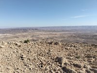 IMG_20260409_162929.jpg