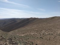 IMG_20260409_162939.jpg