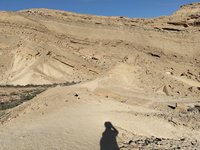 IMG_20260409_171645.jpg