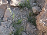 IMG_20260409_172146.jpg
