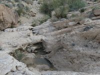 IMG_20260409_173228.jpg