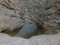 IMG_20260409_173913.jpg