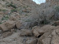 IMG_20260409_174404.jpg