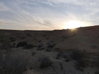 IMG_20260409_182949.jpg