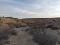 IMG_20260409_182953.jpg