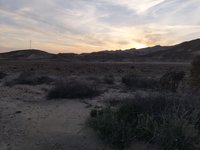 IMG_20260409_185029.jpg