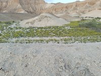 IMG_20260407_063612.jpg
