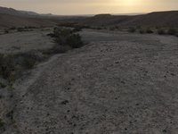 IMG_20260407_070005.jpg