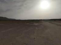 IMG_20260407_074548.jpg