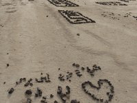 IMG_20260407_081347.jpg