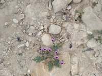 IMG_20260407_082557.jpg