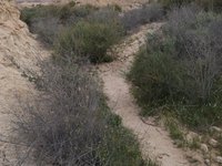 IMG_20260407_082902.jpg