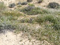 IMG_20260407_091223.jpg