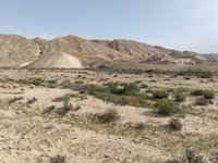 IMG_20260407_091426.jpg