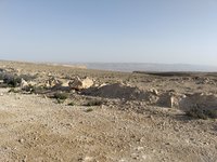 IMG_20260406_080323.jpg