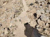 IMG_20260406_093546.jpg