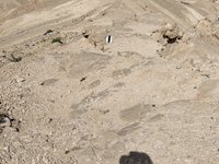 IMG_20260406_100537.jpg