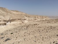 IMG_20260406_104107.jpg