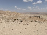 IMG_20260406_123343.jpg