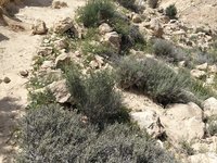 IMG_20260406_133711.jpg