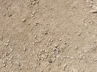 IMG_20260406_143648.jpg