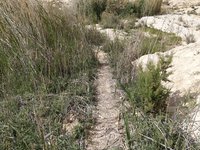 IMG_20260406_152741.jpg