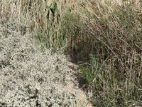 IMG_20260406_153739.jpg