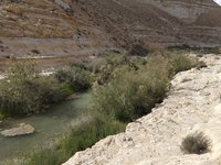 IMG_20260406_155923.jpg