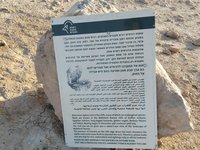 IMG_20260405_070728.jpg