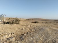 IMG_20260405_071546.jpg