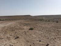 IMG_20260405_090319.jpg