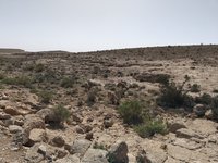 IMG_20260405_093652.jpg