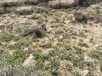IMG_20260405_094108.jpg