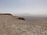 IMG_20260405_095959.jpg